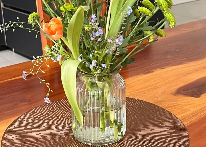 Bismarck Mit Sauna Und Whirlpool * Görlitz